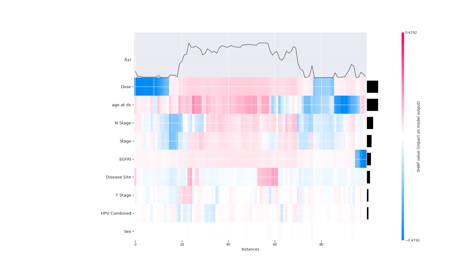 Shap Heat Map
